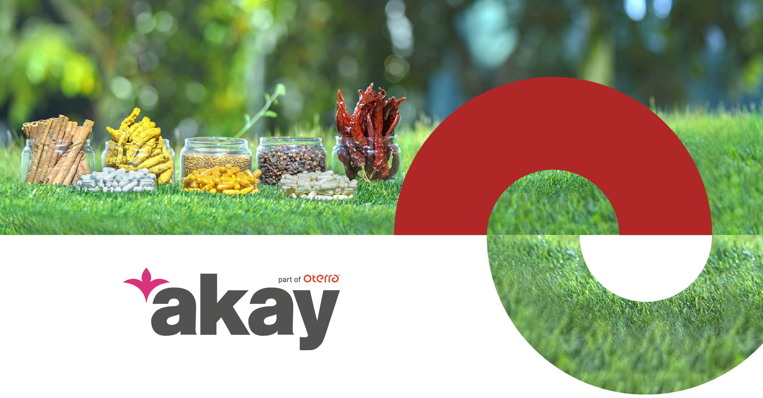 News Akay Natural Ingredients Private Limited Oleoresin